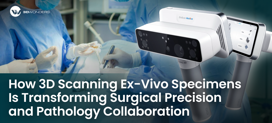 How 3D Scanning Ex-Vivo Specimens Is Transforming Surgical Precision and Pathology Collaboration