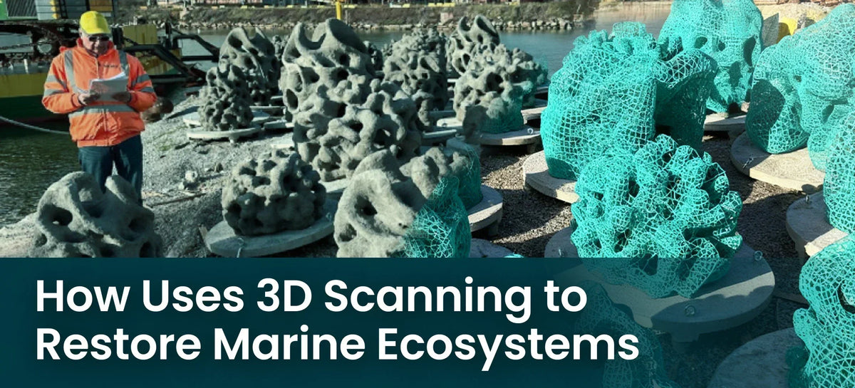 How D-Shape Uses 3D Scanning and Biomimetic Design to Restore Marine Ecosystems